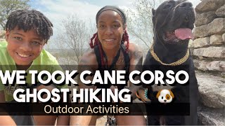 Cane Corso Ghost on His First Hike In Texas