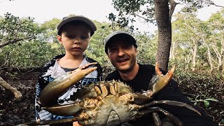 CATCHING  MUD CRABS IN A CREEK NEAR BRISBANE