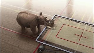 Micro Focus   The elephant in the room