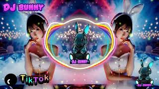 李玉刚 - 刚好遇见你 Electro Remix 2024 dj bunny