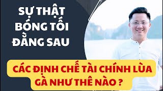 Sự Thật : Bóng Tối Đằng Sau Các Định Chế Tài Chính Lùa Gà Như Thế Nào ?