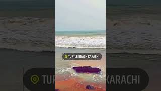 Relaxing &Turtle beach ⛱️  #shorts #viral #pakistan #sea #shortfeed #beautiful #relaxing