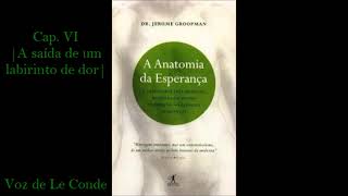 Dr. Jerome Groopman • A Anatomia da Esperança | Cap. VI: A saída de um labirinto de dor