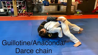 Class recap - GUILLOTINE / Anaconda / Darce choke sequence.