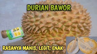 DURIAN BAWOR, RASANYA MANIS, LEGIT, ENAK