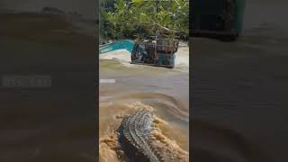 "This fairy almost fell prey to a vicious giant crocodile!"#adventure #crocodile#shortsfeed