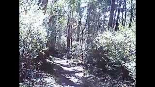 Descent from Mount Feathertop, Victoria, Australia Part 2 of 4