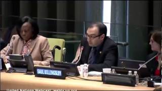 Safe Clean Fair & Green at the UN - Saul Billingsley