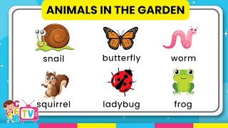 🦋Garden Animals🐞 for Babies and Toddlers 🦗 Learn Simple English Vocabulary Words