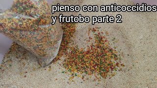 pienso y fruta desidratada pollitos parte 2