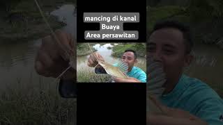 harus Hati -hati dan waspada mancing di area persawaitan #mancing #mancingikanwaderdiparit #fyp