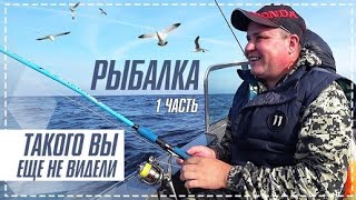 КРУТАЯ РЫБАЛКА НА КАТЕРЕ НА РЫБИНСКОМ ВОДОХРАНИЛИЩЕ / КОРМИМ С РУК В ЛЕСУ ДИКИХ ЖИВОТНЫХ