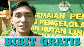 BALAI PERSEMAIAN PERMANEN JAWA TIMUR || BIBIT GRATIS LHK