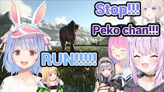 (All POV) Pekora Bringing Desolation To The Hololive Members in Hololive Ark!!!!