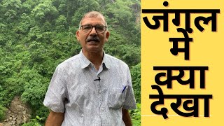 जंगल में क्या देखा|| What did you see in the Forest