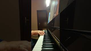 Riggs - musica di M. Kamen ed Eric Clapton (Al pianoforte Vincenzo Rotunno)