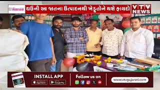 Gujarati - News about NWS-2194 Badshah new wheat variety from Nuziveedu seeds