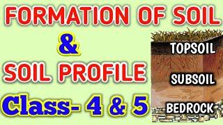 Soil Formation , SOIL PROFILE, Class 4 & 5 SCIENCE OLYMPIAD