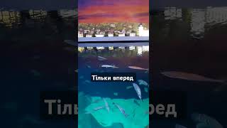 це так чудово - жити