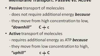 Membrane Transport - Diffusion, Osmosis, Filtration, Phagocytosis, etc.