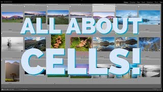 Lightroom Tuesday All About Cells