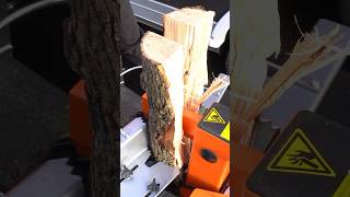 Vertical Log Splitter - Forest Master FM8VE #shorts  #forestmaster #logsplitter #woodworking