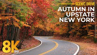 8K Fall Foliage in Upstate New York - Scenic Drive Through Stunning Autumn Colors with Real Sounds