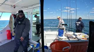 Spring Cod and Tog in RI | Wise Kraken Charters