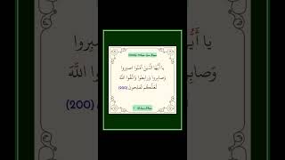 سورة ال عمران - سورة 03 - اية 200