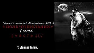 2024 I «Измученный одиночеством   » I «Волк отшельник» (вторая часть) I © (Данила Галин)