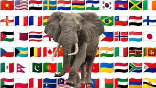 "Elephant" name from different countries with Voice | animals name