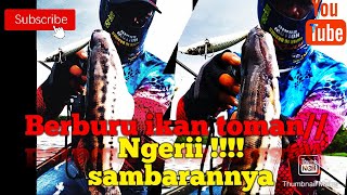 Berburu ikan toman// umpan jatuh langsung di sambar Ngeriii  (team adventure fishing borneo )