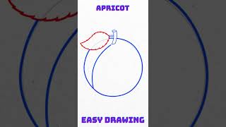 Easy to draw an apricot fruits #fruitdrawing #easytodraw #easydrawing