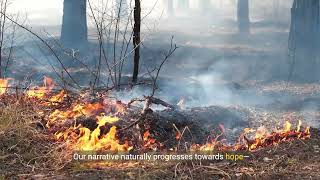 Flames of Change  The Fight Against Forest Fires