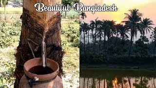 Beauty of Nature | Beautiful Bangladesh