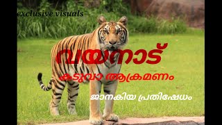 വയനാട് കടുവാ ആക്രമണം , ജനകീയ പ്രതിക്ഷേധം... exclusive videos