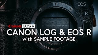 Canon LOG and EOS R with sample footage: Should you always use it?