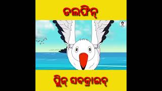 ଡଲଫିନ୍ || Odia moral story #shortvideo #shortsfeed #gapa #moralstories #shorts