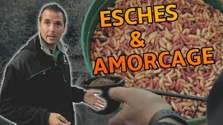 Esches et Techniques d'Amorçage - Pêche au Coup Hiver en Rivière  - Secrets de Champion Nico 3/4