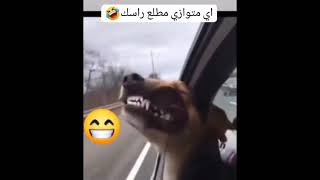 متوازي مطلع راسك 😂🤣