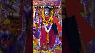 मां अन्नपूर्णा देवी का साक्षात Live 🔴 दर्शन 😱 Is This the Most Powerful Goddess? | Navratri