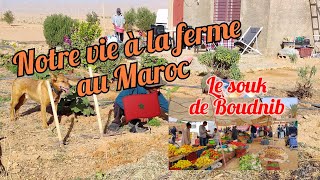 Le Maroc rural à Boudnib : notre vie à la ferme 🇲🇦