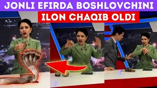 ZO‘RTATV JONLI EFIRIDA BOSHLOVCHINI ILON CHAQIB OLDIMI...