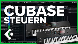 Komplete Kontrol - Cubase Steuern und einrichten | So einfach geht's!