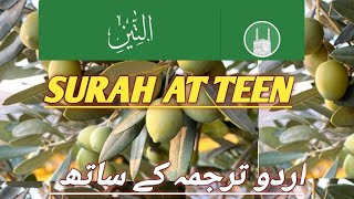 SURAH۔AT۔TEEN۔WITH Urdu Translation