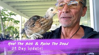 Heal The Sick & Raise The Dead - 21 Day Update of Annie O'! | Dr. Robert Cassar