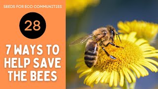 28 - 7 Ways to Help Save the Bees!