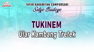 Tukinem - Uler Kambang Tretek (Official Music Video) | Kawaritan SETYO BUDOYO