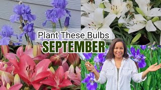 Plant These NOW Before It's Too Late! | Spring   Blooming Bulbs #iris