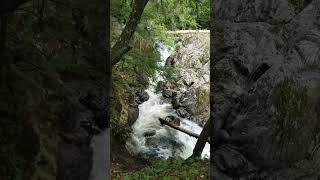 Whitewater in the Adirondack Mountains 💦